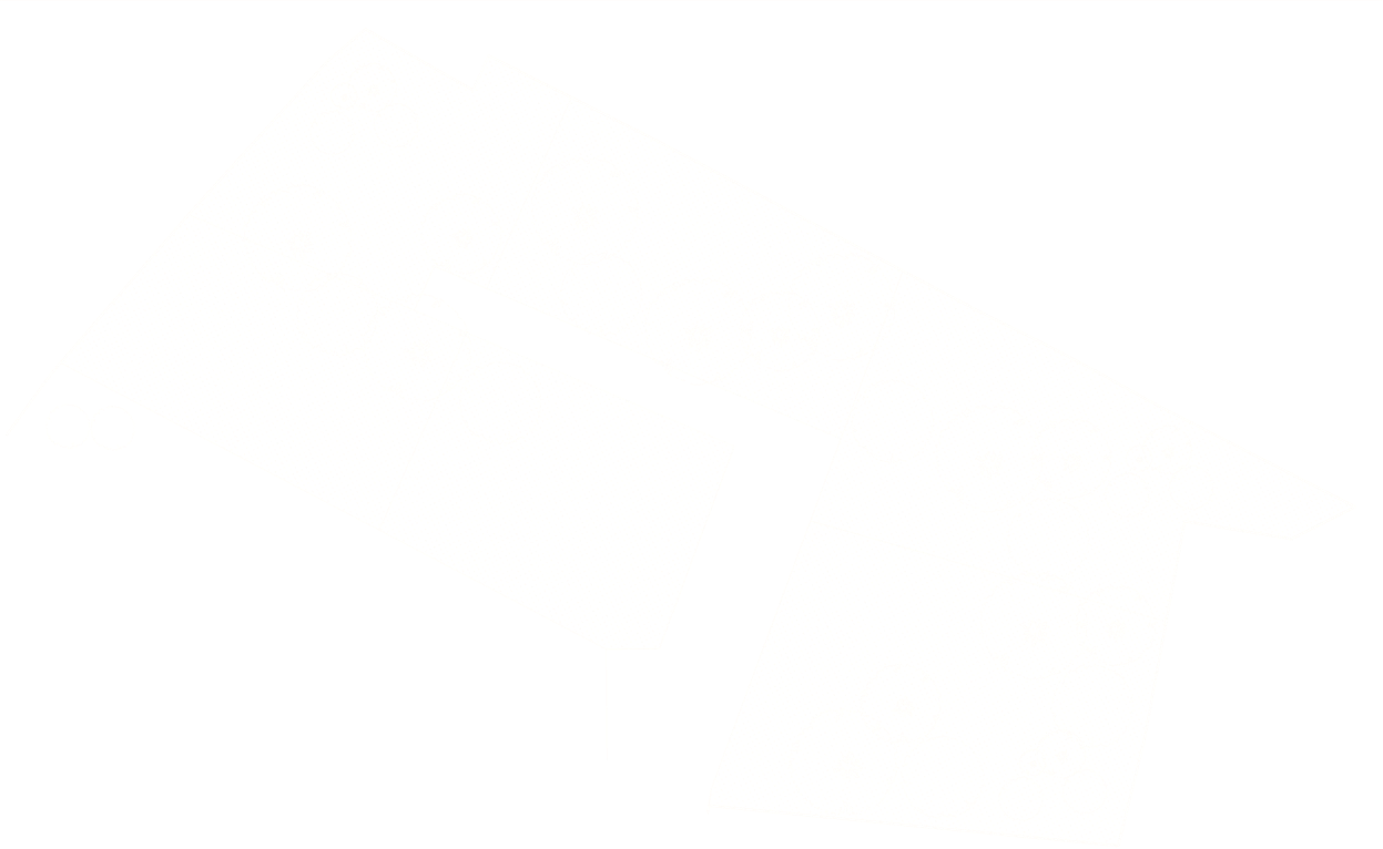 Planimetria dei sei lotti orto